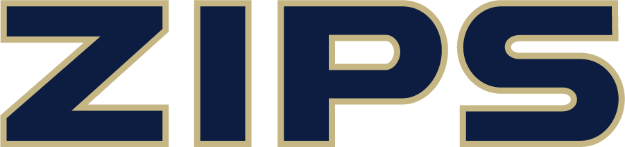 Akron Zips 2022-Pres Wordmark Logo diy DTF decal sticker